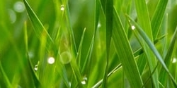 Default Institution Slider Image